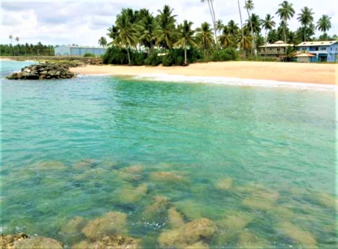 Sea Shell Villa Hikkaduwa 2 Separate Cabanas Ocean Front Villa Luaran gambar